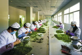 打造 追趕超越 綠色崛起 的紅色引擎