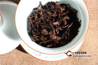 遇見潤元昌2017年易武之春