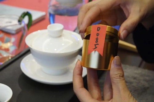 好茶，好書，好時光 ——《普洱》雜志15周年暨瀾滄古茶全國聯動品讀會百城盛放